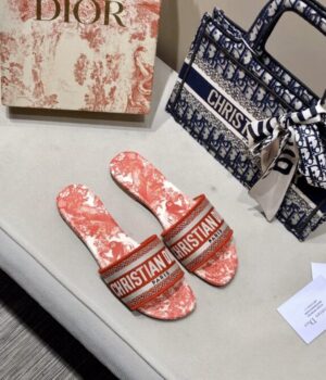 DIOR Slides