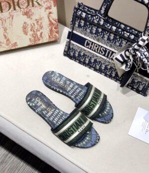 DIOR Slides