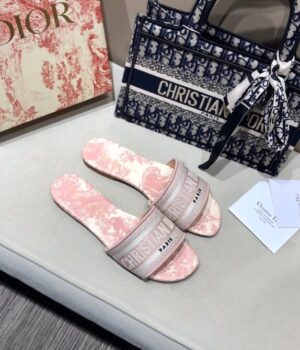 DIOR Slides