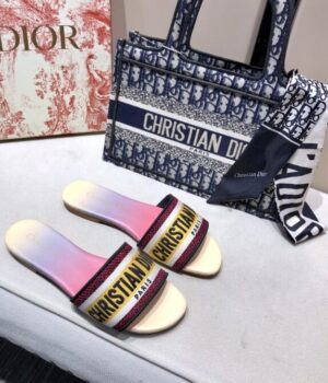 DIOR Slides