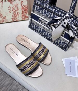 DIOR Slides