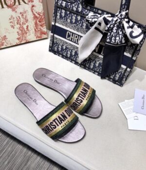 DIOR Slides