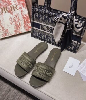DIOR Slides