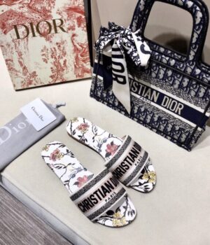 DIOR Slides