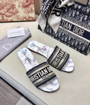 DIOR Slides