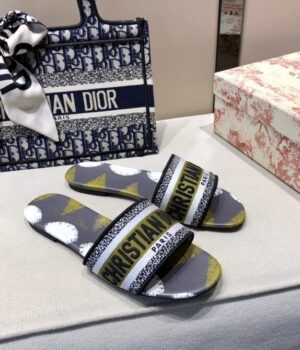 DIOR Slides
