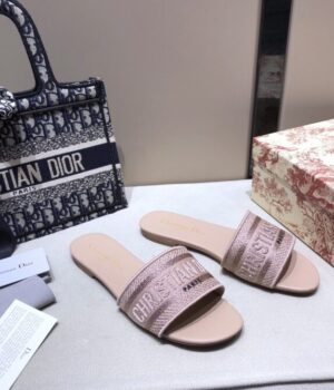 DIOR Slides
