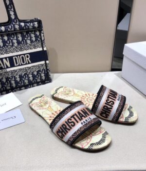 DIOR Slides
