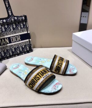 DIOR Slides