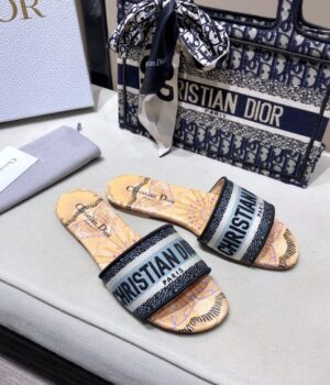 DIOR Slides