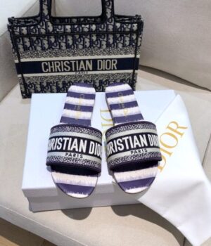 DIOR Slides