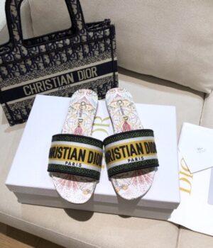 DIOR Slides