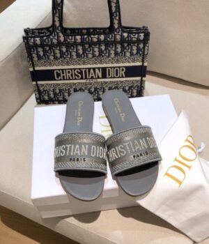 DIOR Slides