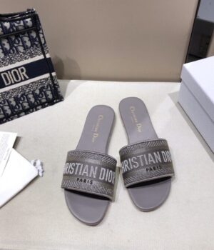 DIOR Slides