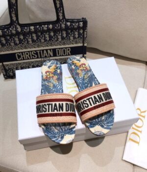 DIOR Slides