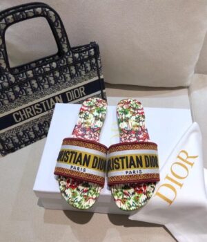 DIOR Slides