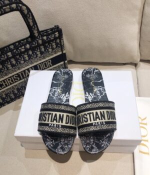 DIOR Slides
