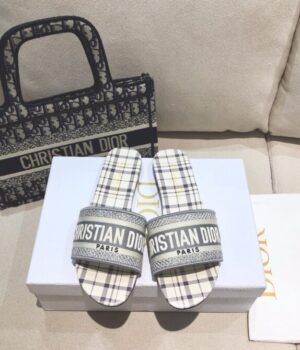 DIOR Slides