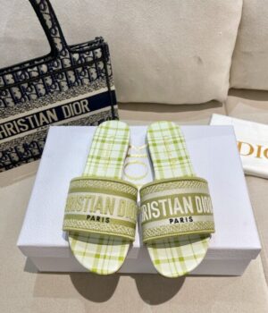 DIOR Slides