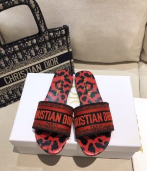 DIOR Slides