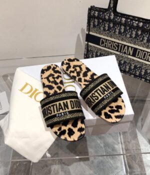 DIOR Slides
