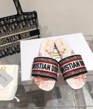 DIOR Slides