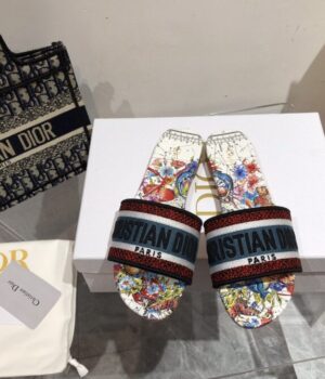 DIOR Slides
