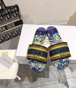 DIOR Slides