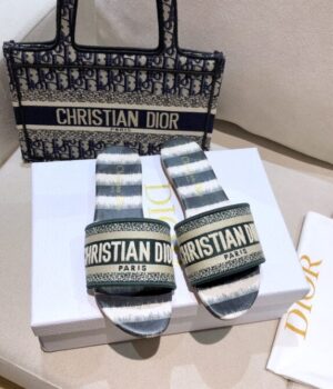 DIOR Slides
