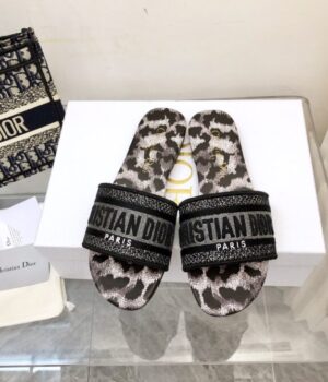 DIOR Slides