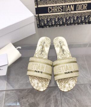 DIOR Slides
