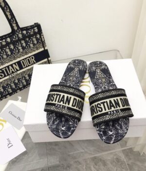 DIOR Slides