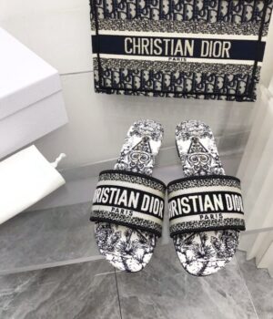DIOR Slides