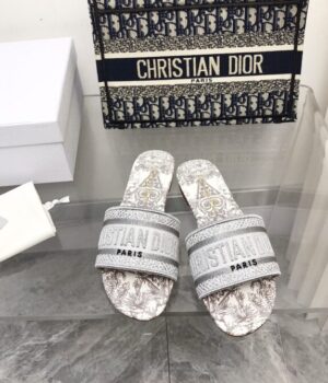 DIOR Slides