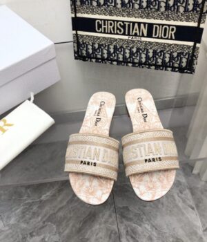 DIOR Slides