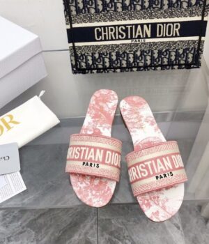 DIOR Slides