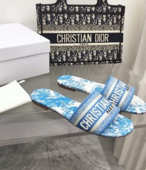 DIOR Slides
