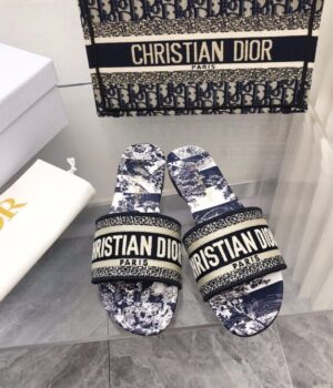 DIOR Slides