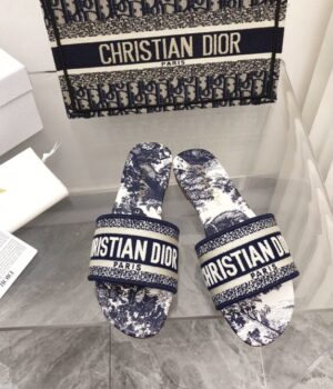 DIOR Slides