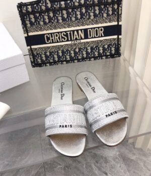DIOR Slides