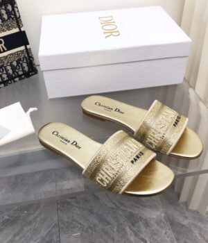 DIOR Slides