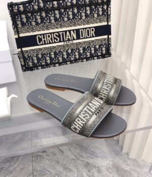 DIOR Slides