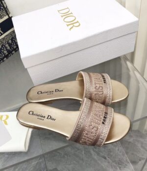 DIOR Slides