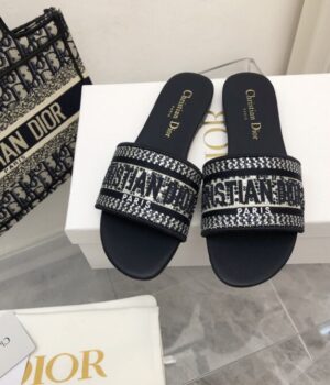 DIOR Slides