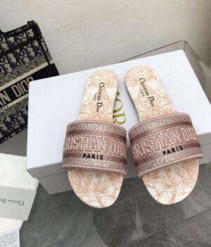 DIOR Slides