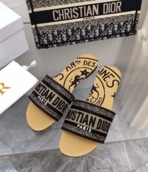 DIOR Slides