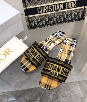 DIOR Slides