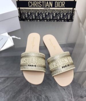 DIOR Slides
