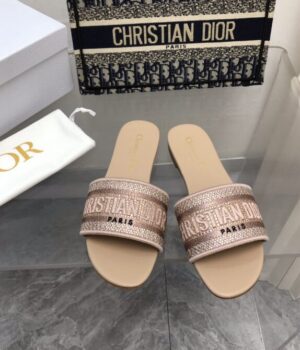 DIOR Slides