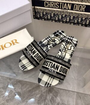 DIOR Slides